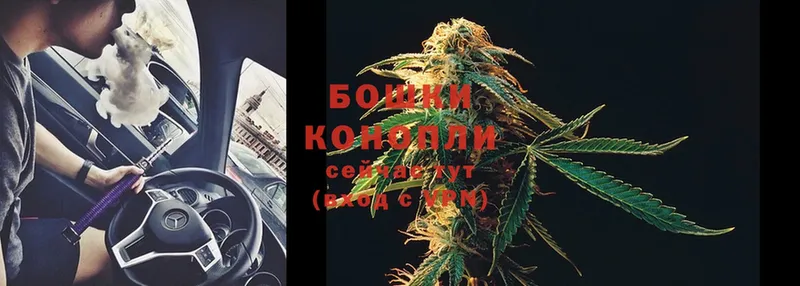 Марихуана OG Kush  как найти закладки  Кириллов 